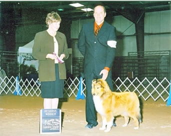 Cherry 2008 show photo reserve winner with owner handler Shawn Amszi_g8it40.jpg